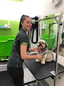 dog groomer zetland